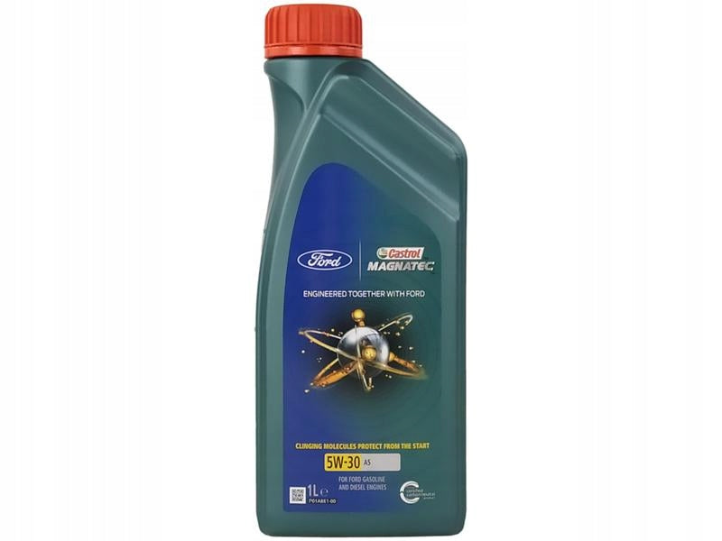 CASTROL Magnatec Professional 5W-30 A5 1 Liter