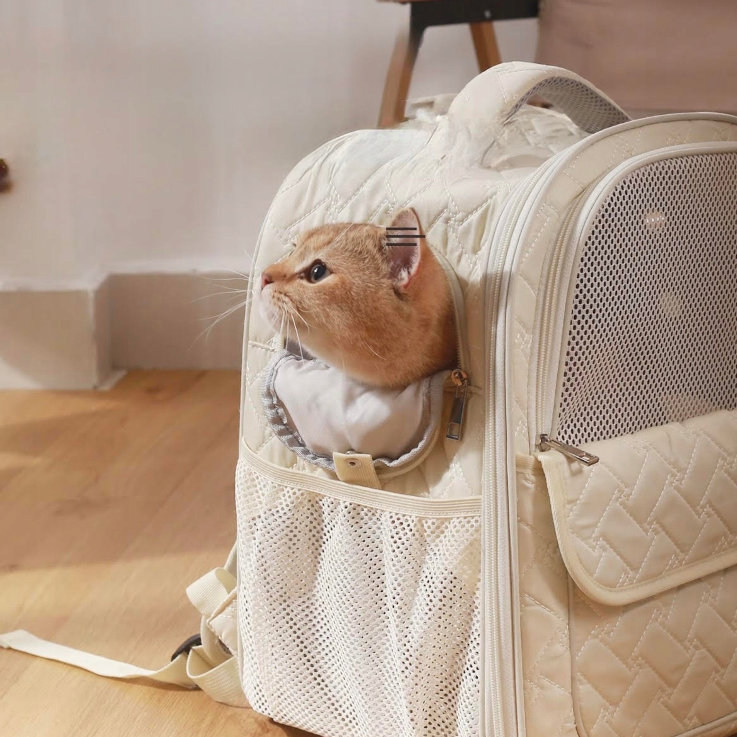 CAT BACKPACK BAG TRANSPORTER FOR CARRYING SMALL ANIMALS SIEMIEC Brand SIEMIEC