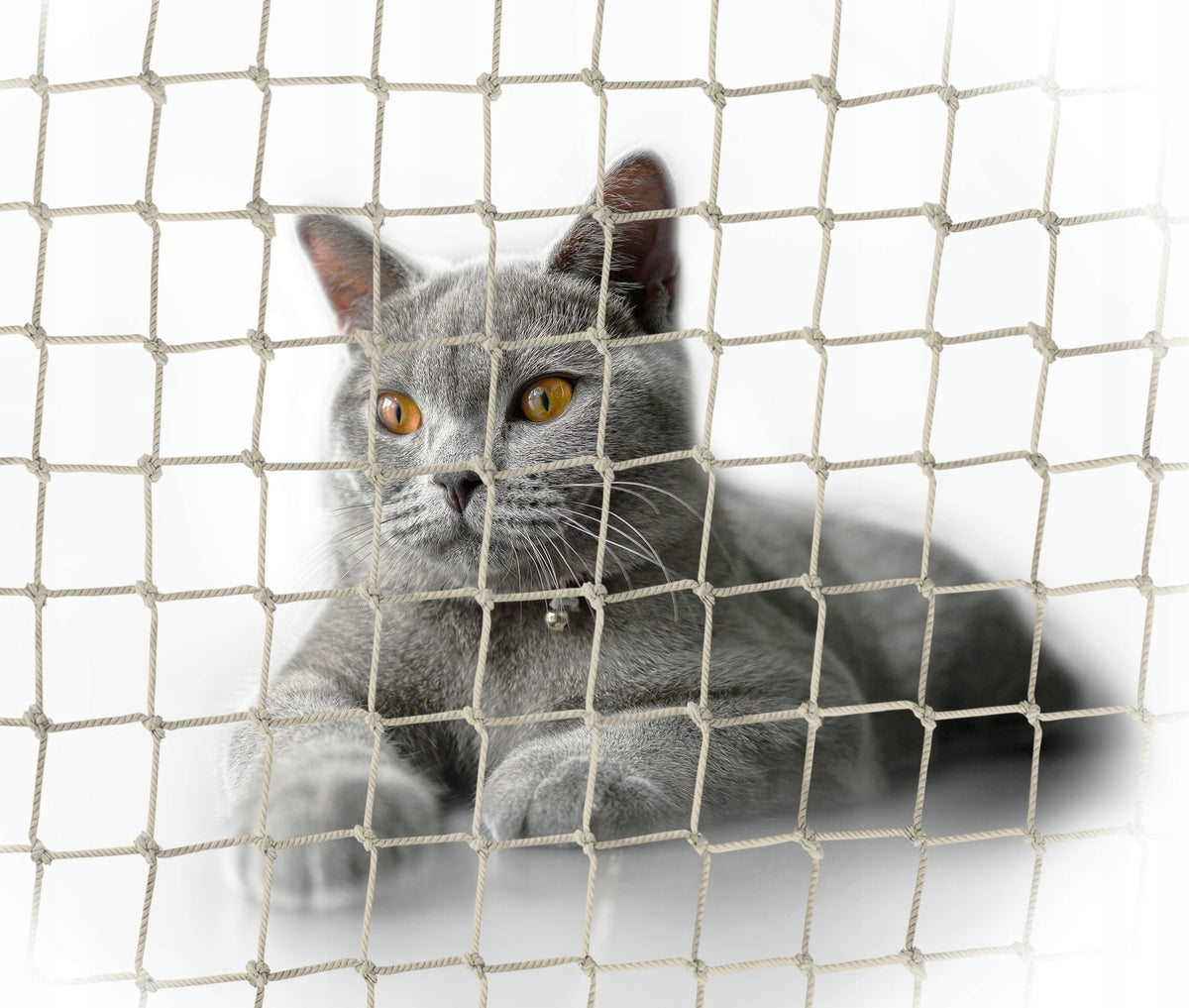 CAT BALCONY NET WITH PREMIUM WIRE 110g/m2 EYE 30x30mm TO SIZE