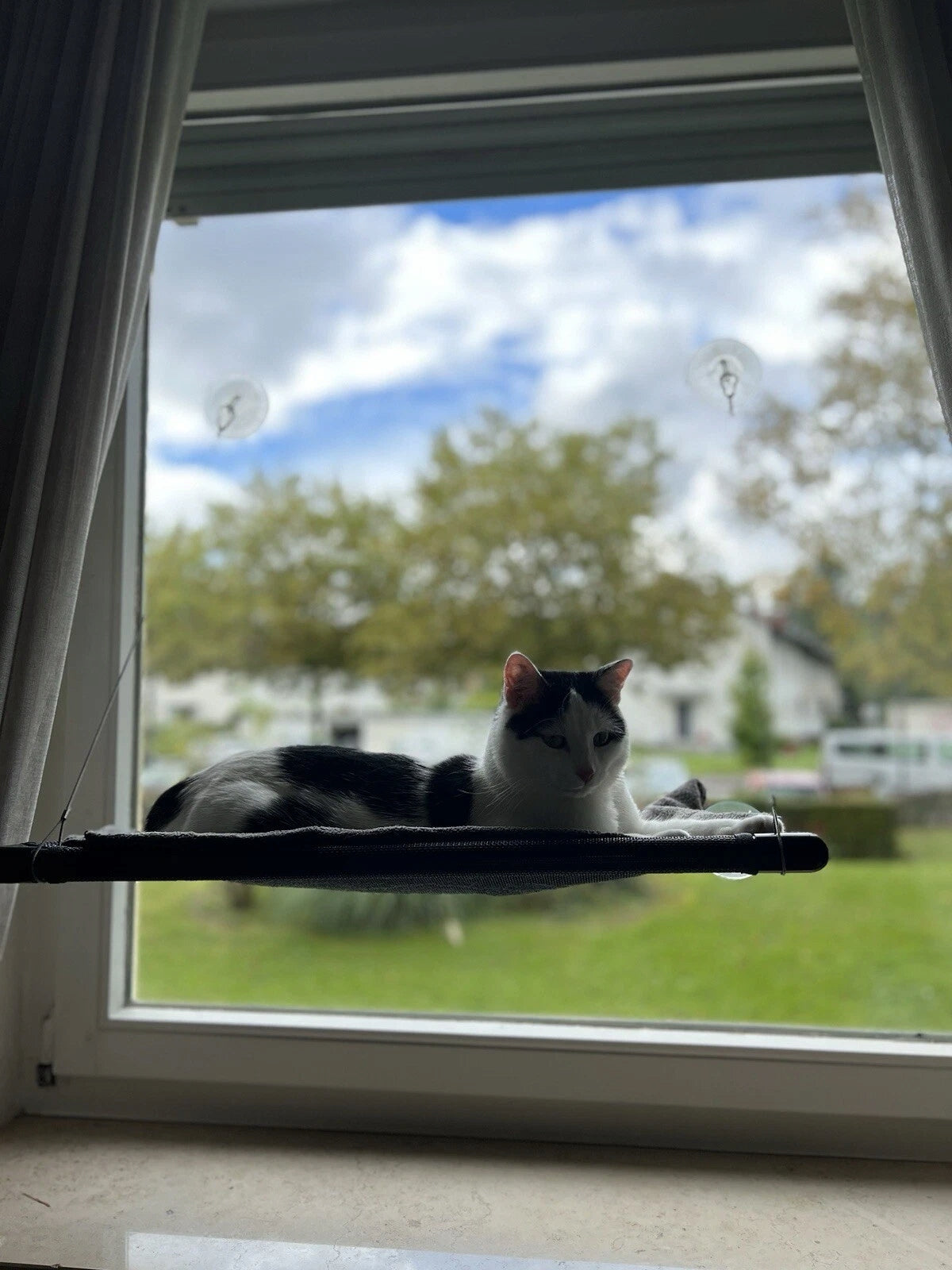 CAT BED 25kg SWING HANGING HAMMOCK WINDOW MOUNTED 67x40cm Length 67 cm