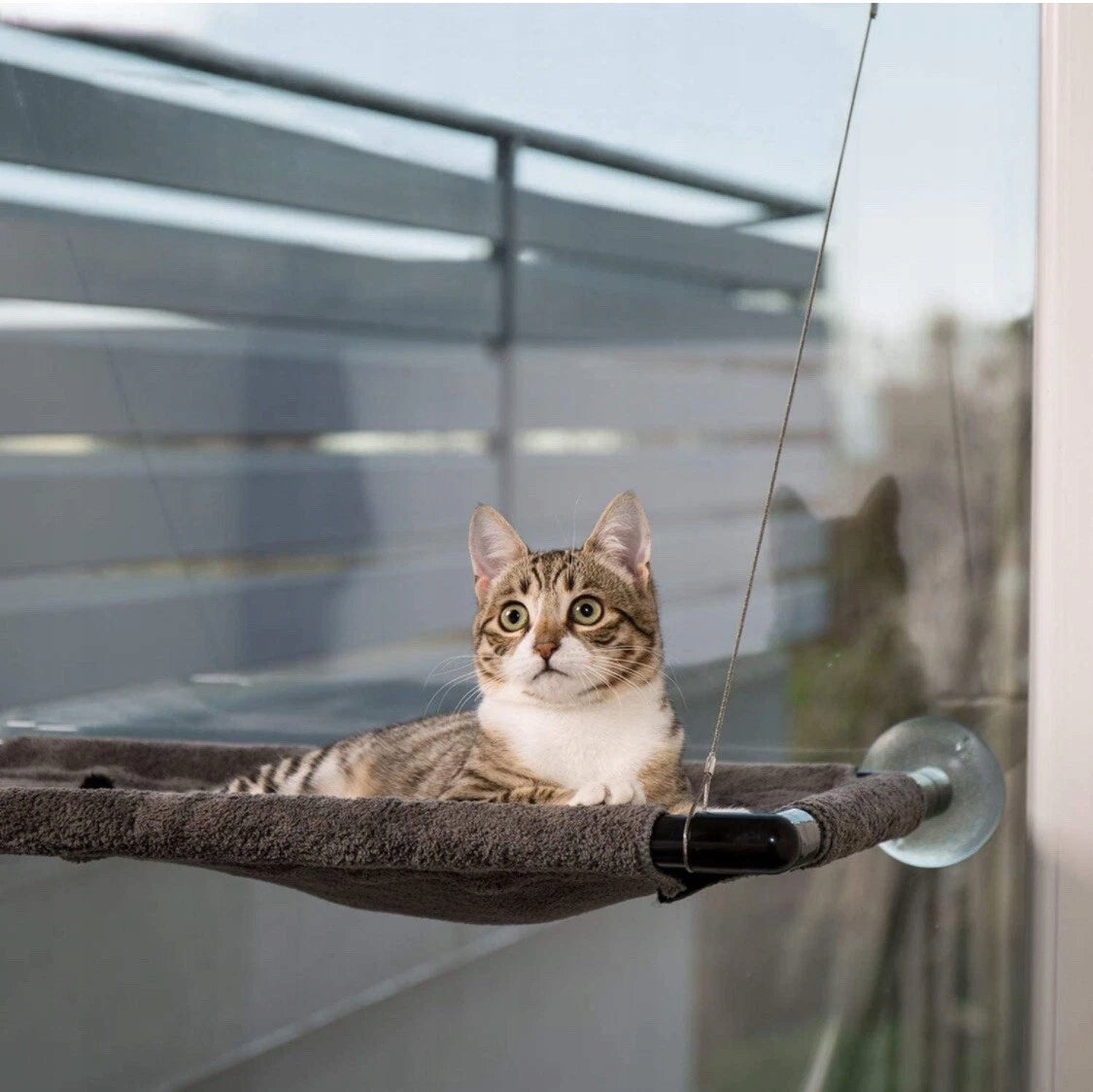 CAT BED 25kg SWING HANGING HAMMOCK WINDOW MOUNTED 67x40cm Product width 40 cm