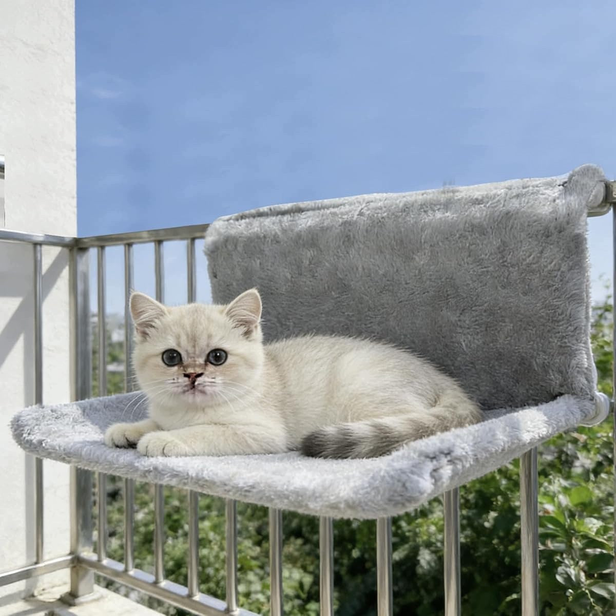 CAT BED, HAMMOCK CAT BED FOR RADIATOR, WITHOUT DRILLING Packaging status original