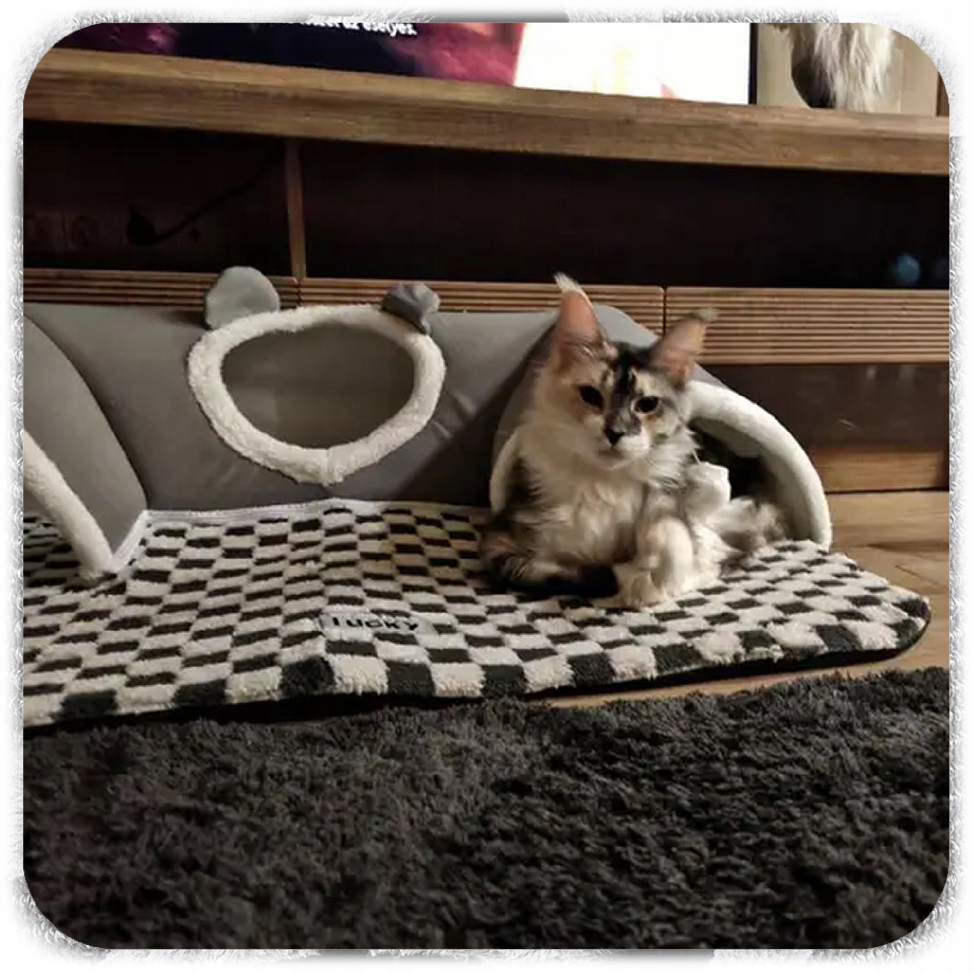 CAT BED WITH TUNNEL 2IN1 PLUSH CHESSBOARD GREY XXL 86x70x26 Kind bed