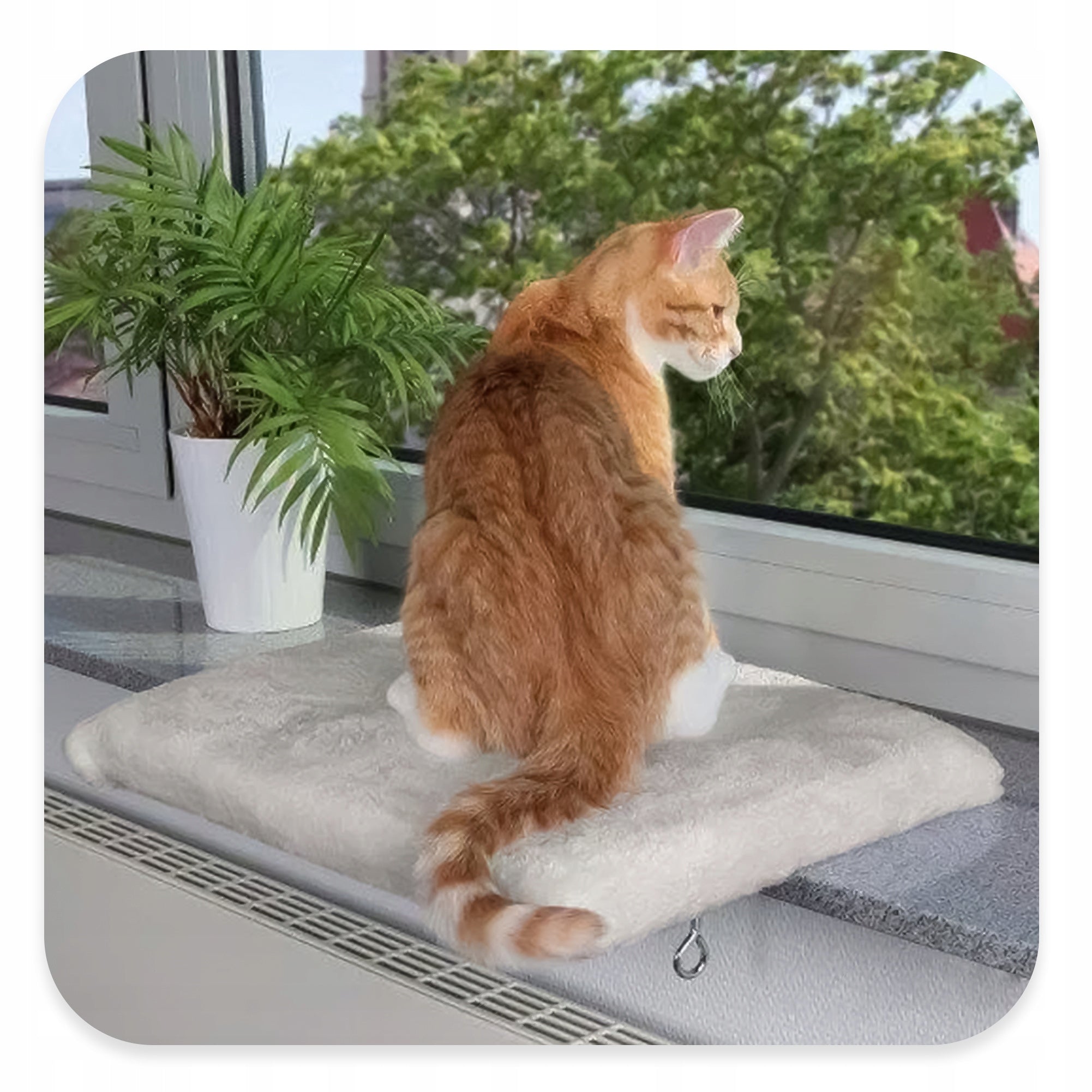 CAT BED for WINDOW SILL 51x36 Bedding Mat PILLOW WINDOW Ko B3 Trade name Legowisko na parapet dla kota