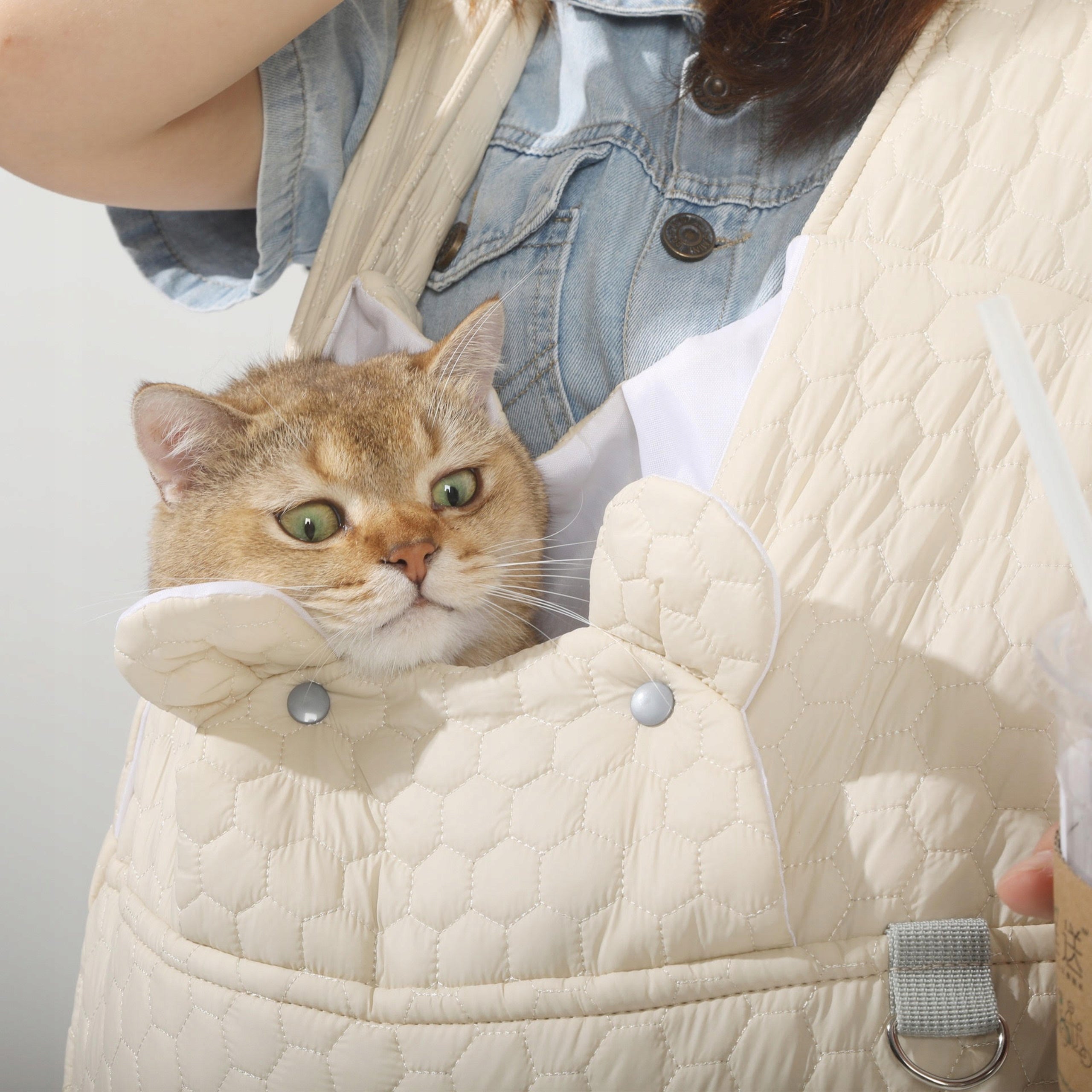 CAT CARRIER TRAVEL BAG FOR SMALL ANIMALS BEIGE SIEMIEC Packaging status original