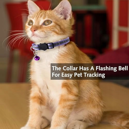 CAT COLLARS BELL REFLECTOR SAFE BUCKLE SET OF 12 PIECES Packaging status original