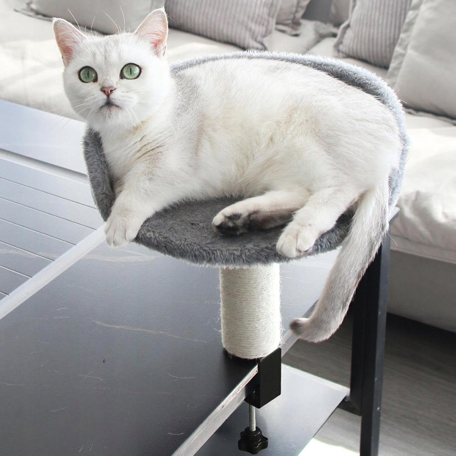 CAT DESK BED GREY SISAL POST IRON FRAME Packaging status original
