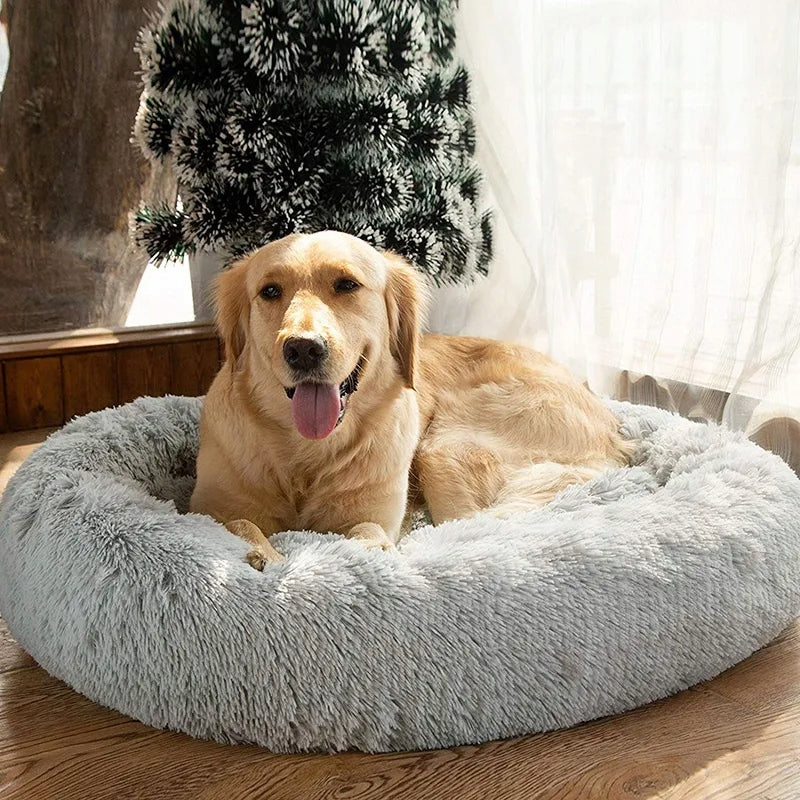 CAT DOG BED CLOUD 65CM PREMIUM QUALITY AND STYLE SOFT LARGE Length 65 cm