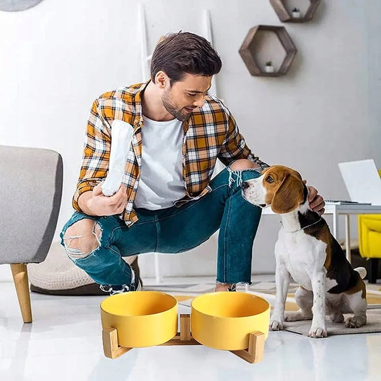 CAT DOG BOWL DOUBLE CERAMIC 2 x 400ml ON STAND YELLOW Packaging status original