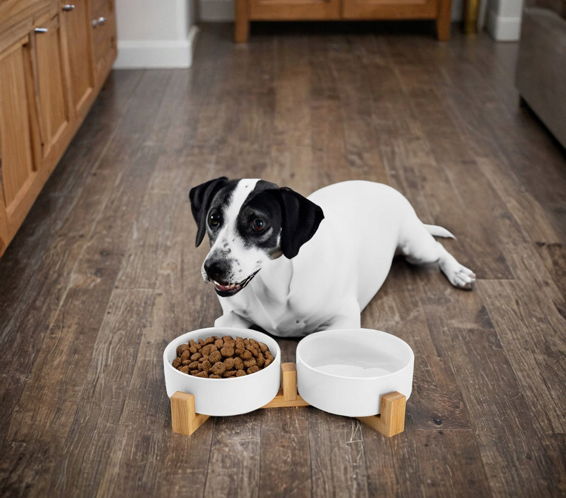 CAT DOG BOWL DOUBLE CERAMIC BOWLS ON STAND 2x400ml Packaging status original