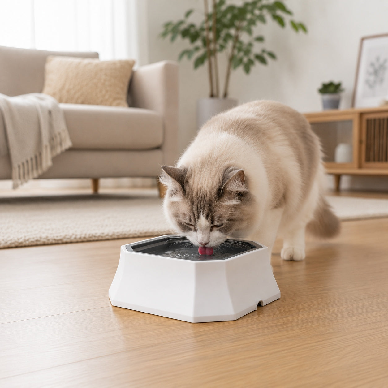 CAT DOG BOWL Floating Non-Spill Slowing Drinking 1.5 l Large Brand no brand