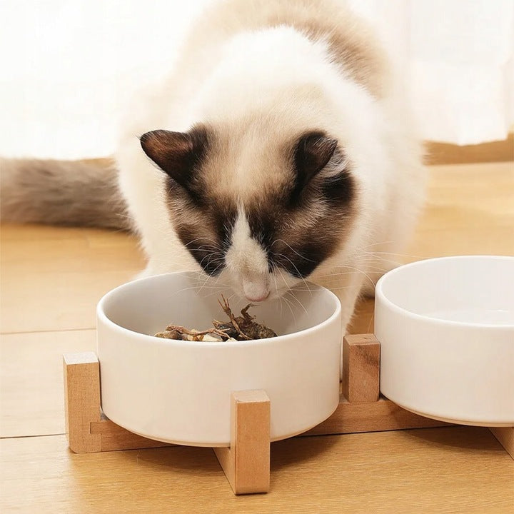 CAT DOG BOWLS DOUBLE ON BAMBOO STAND CERAMIC WHITE SET Color white