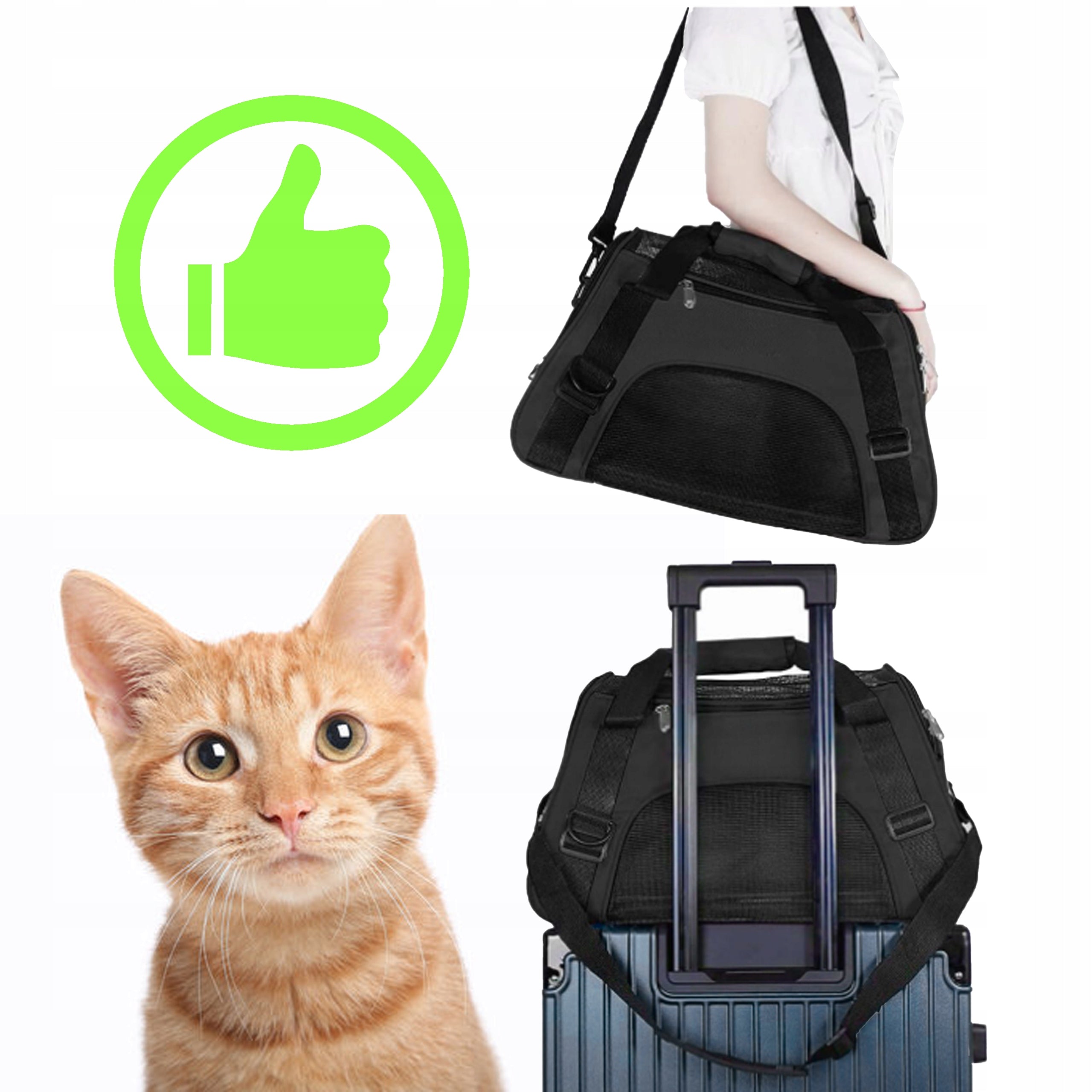 CAT DOG CARRIER ANIMAL FRAME BAG 2 COLORS 43*28*19 CM Brand KREOleo