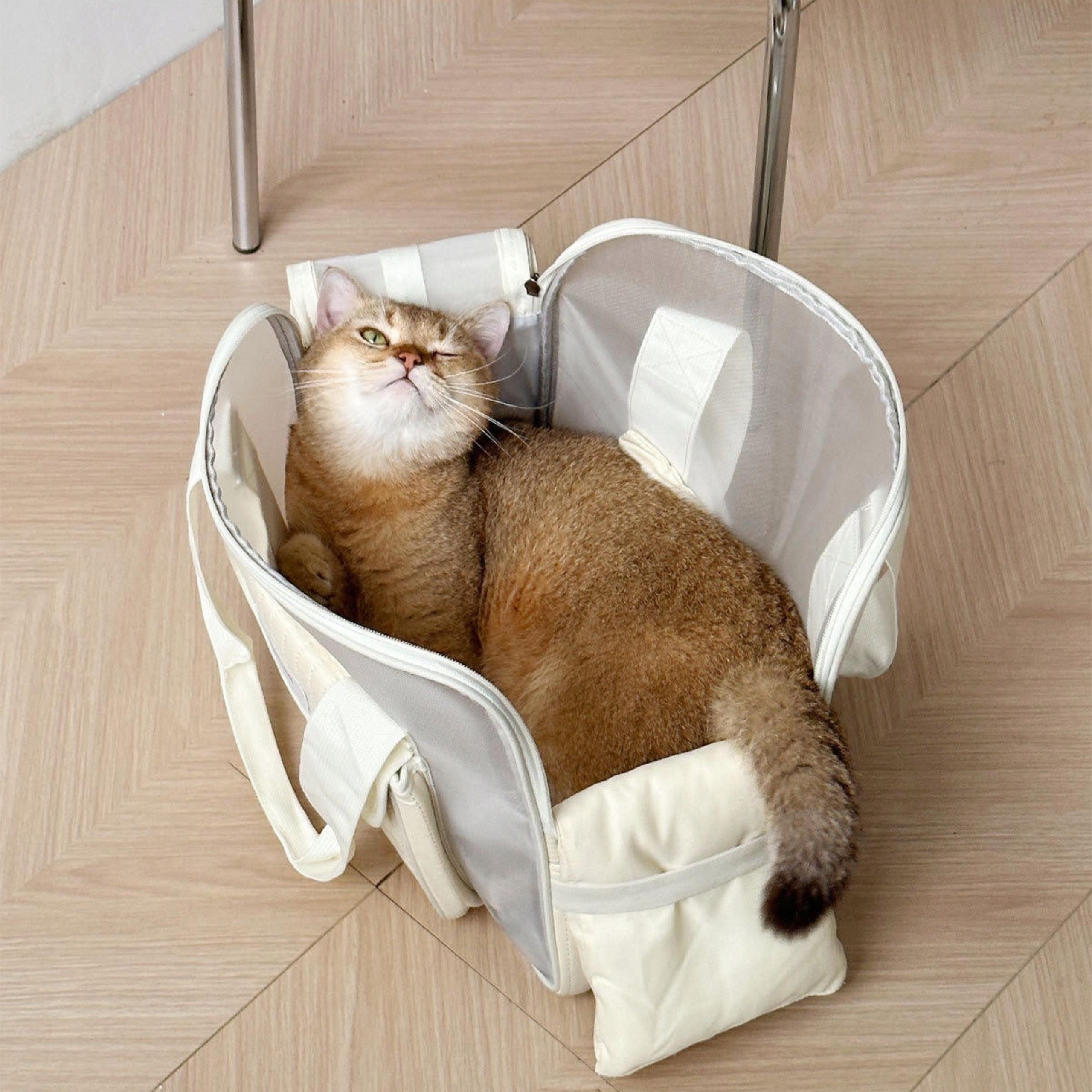 CAT DOG CARRIER BAG FOR A WALK ON A TRIP TO THE VET BREATHABLE Trade name SIEMIEC Torba podróżnicza dla zwierząt domowych 14