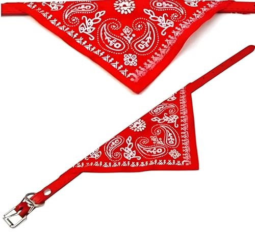 CAT DOG COLLAR ADJUSTABLE STYLISH ELEGANT SCARF 20 26 CM Manufacturer code Bez marki