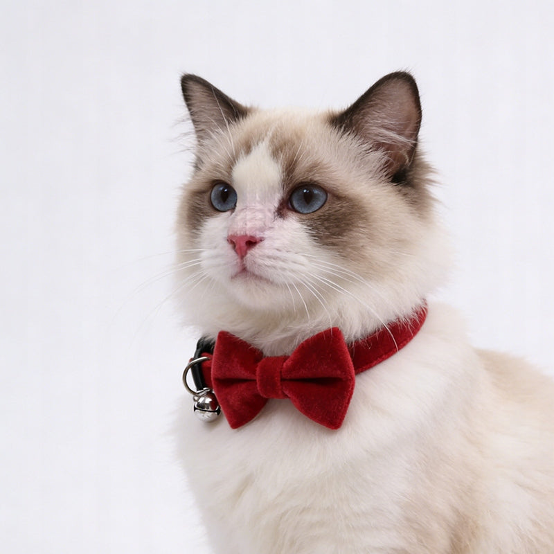 CAT DOG COLLAR VELOUR BOW FLY BOW TIE FOR A SPECIAL OCCASION Manufacturer code Purrtiny0290