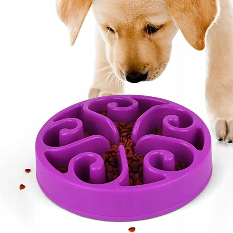 CAT DOG FOOD SLOWING BOWL LARGE WITH PET COMPARTMENTS