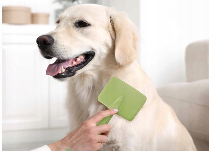 CAT DOG HAIR BRUSH CARDED COMB TRIMMER GREEN Kind brush