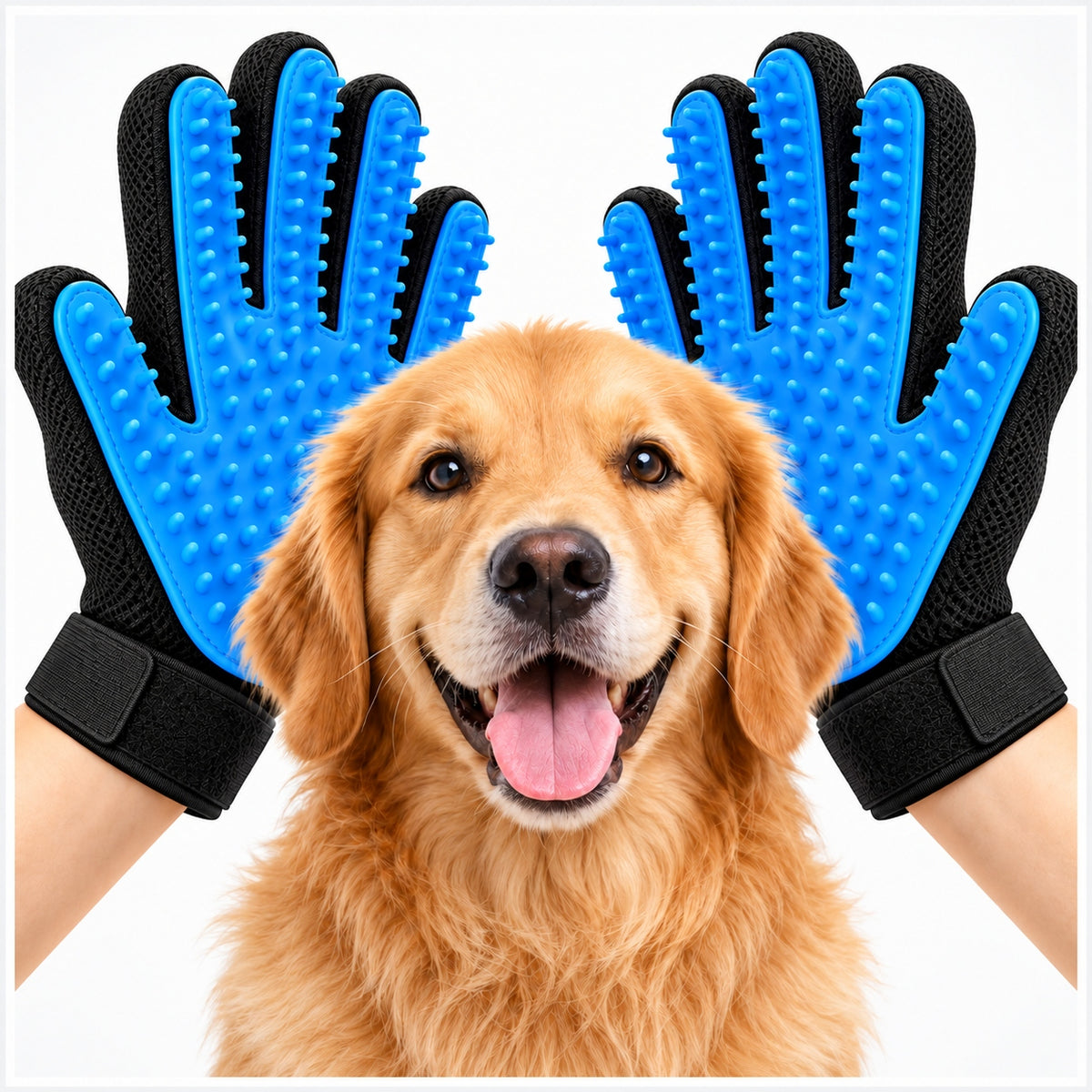 CAT DOG HAIR COLLECTION GLOVE BRUSH COMBING MASSAGE BLUE