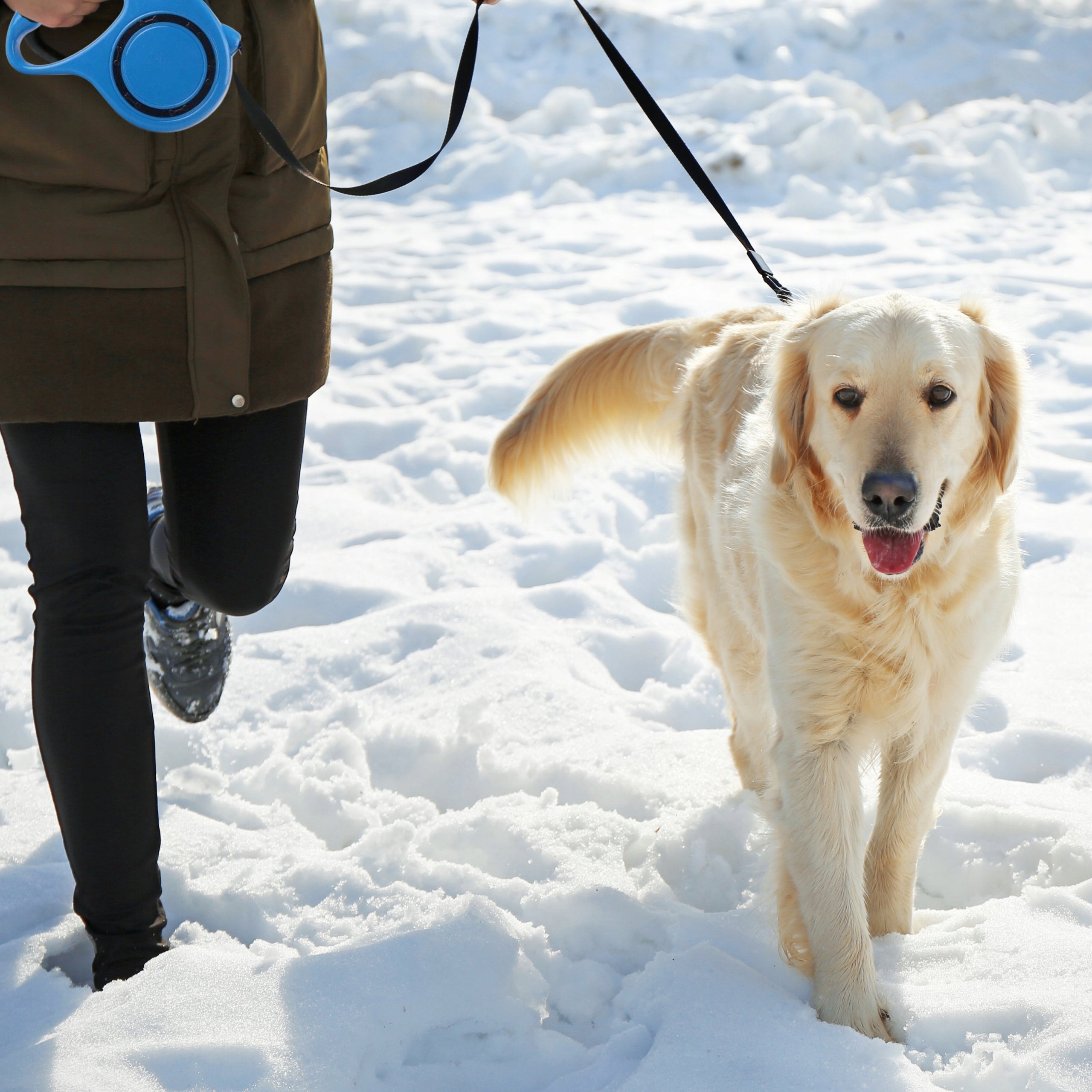 CAT DOG LEASH AUTOMATIC ROLL-UP TAPE WITH LOCK 5M TO 15KG FLEXI Kind automatic