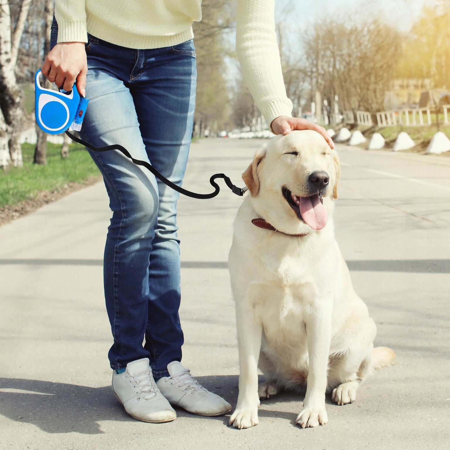 CAT DOG LEASH AUTOMATIC STRONG TAPE 5M WITH LOCK 15KG LED FLASHLIGHT Color blue