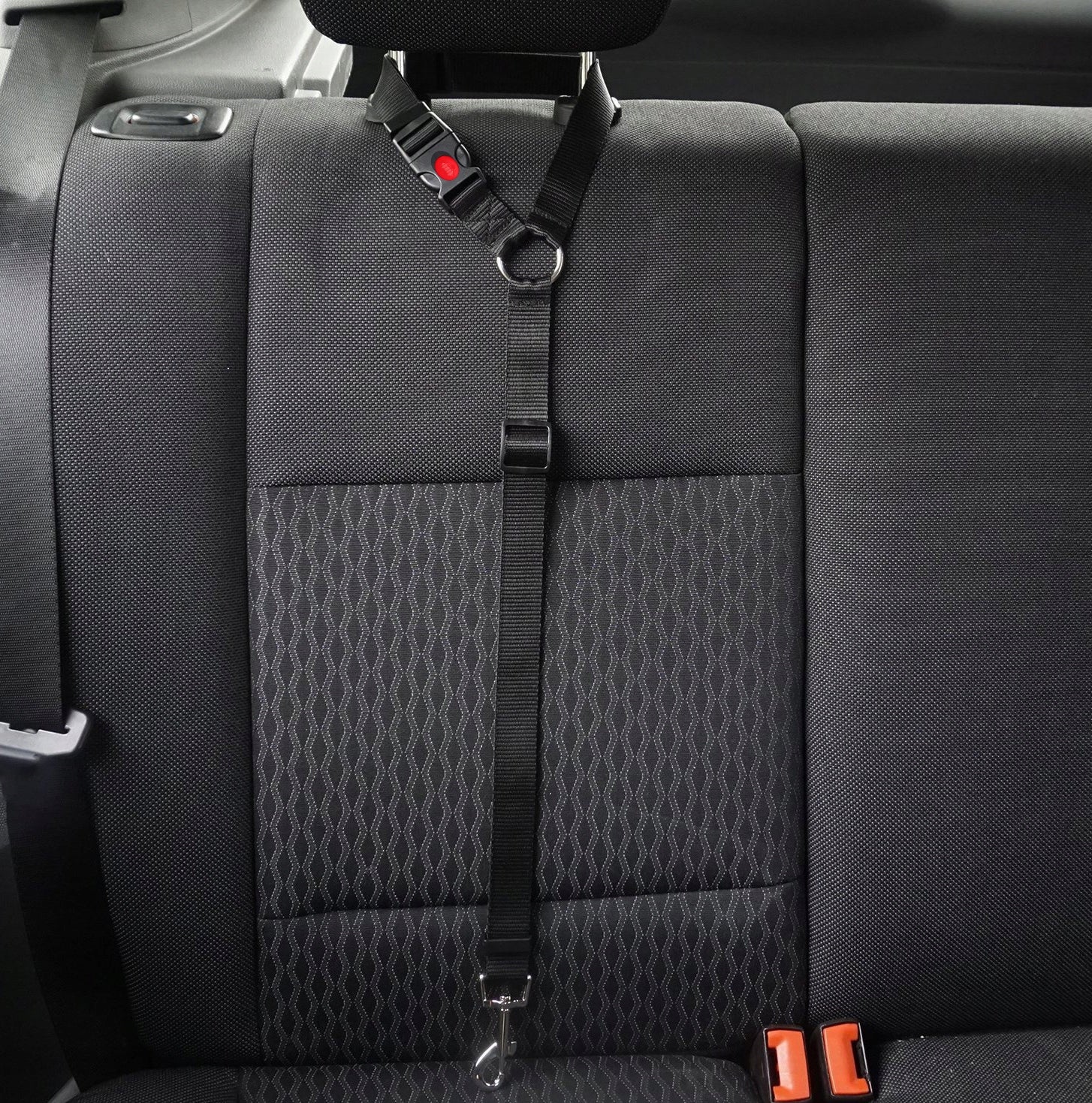 CAT DOG LEASH SEAT BELT FOR CAR FOR HEADREST STRONG EAN (GTIN) 5906022612847