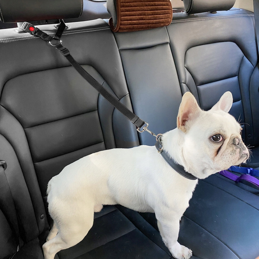 CAT DOG LEASH SEAT BELT FOR CAR FOR HEADREST STRONG Manufacturer code SM-PAS-NG