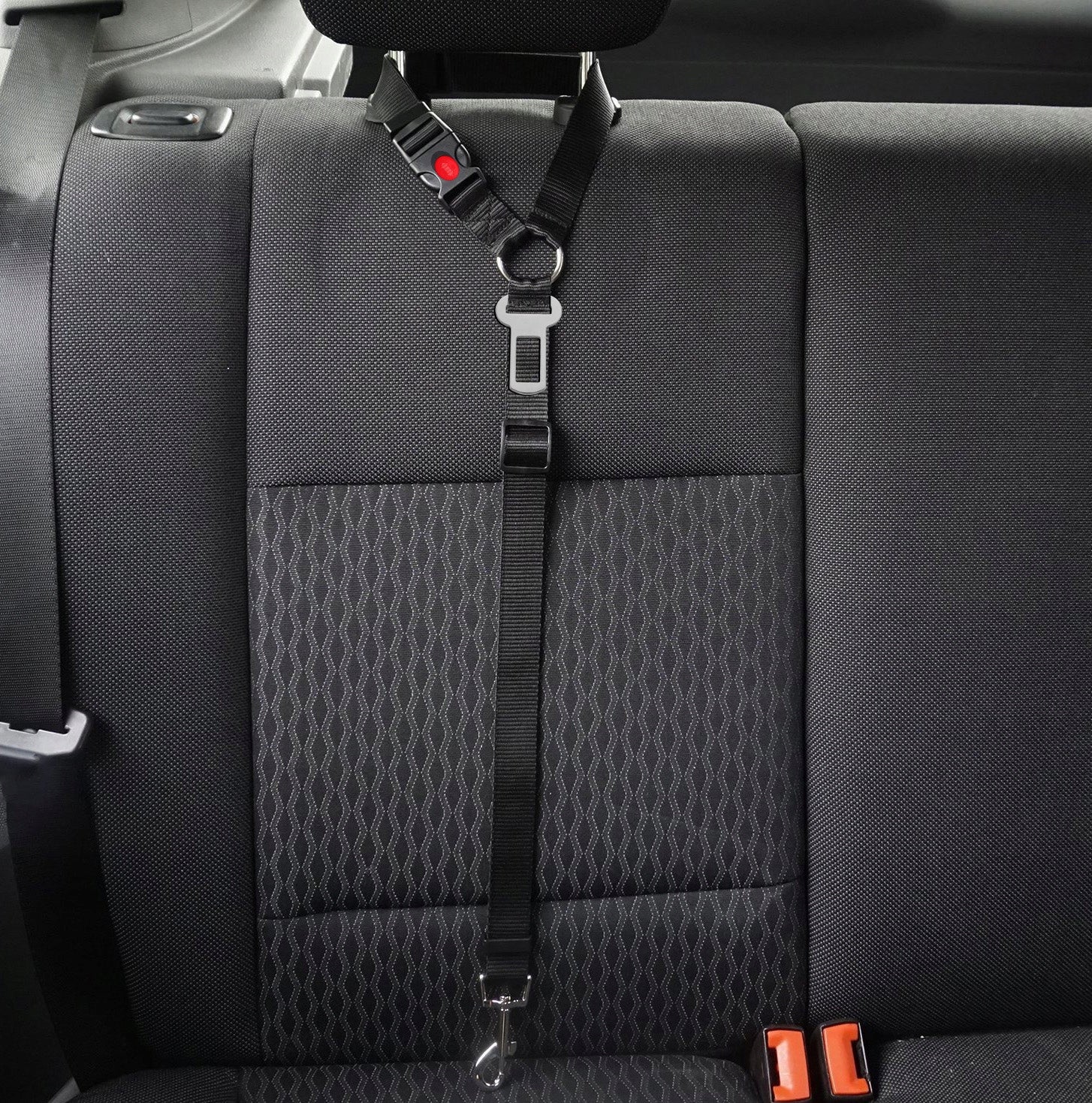 CAT DOG LEASH SEAT BELT FOR CAR HEADREST +PIN Brand Reverse
