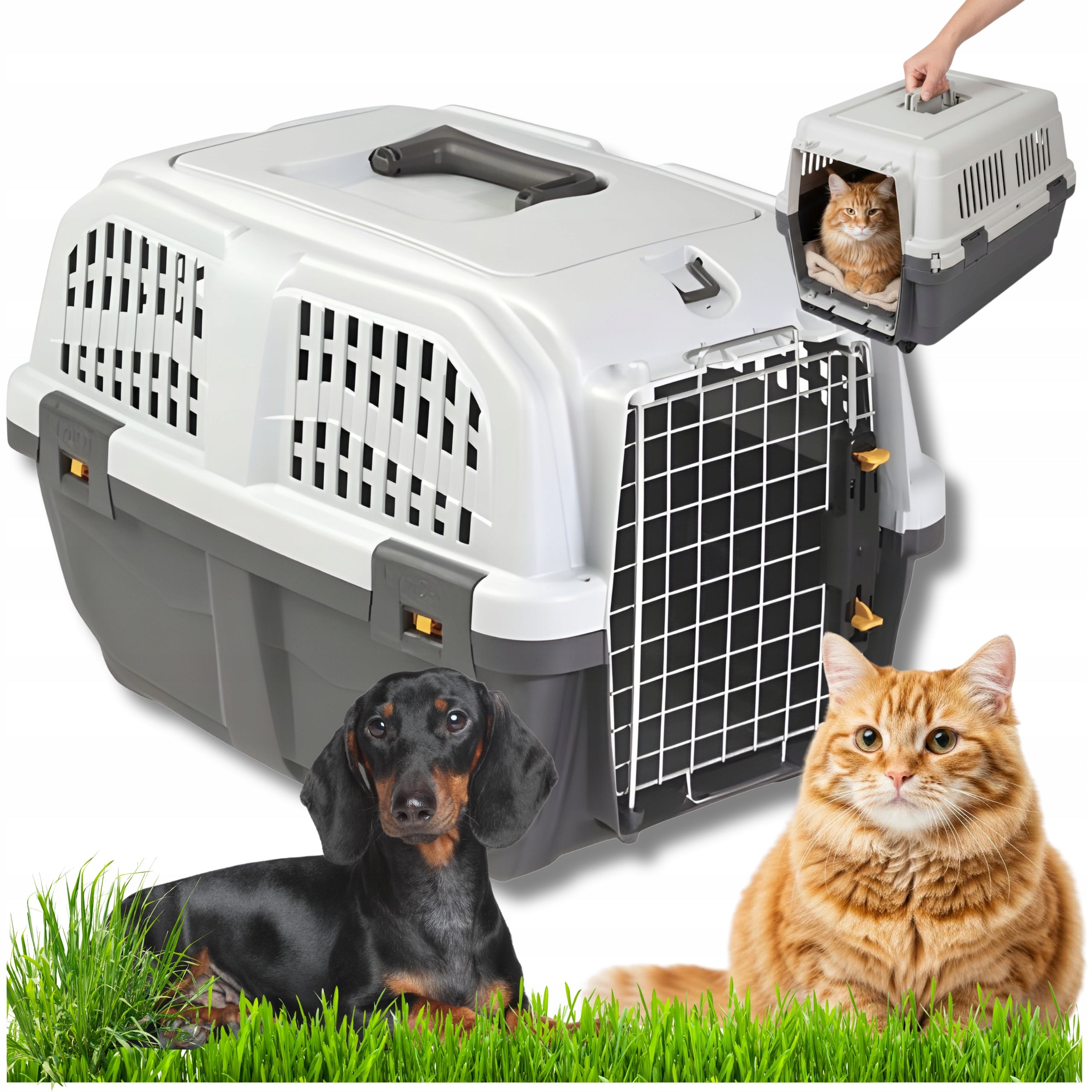 CAT DOG TRANSPORTER CAR AIRPLANE STRONG METAL DOOR CERTIFICATE