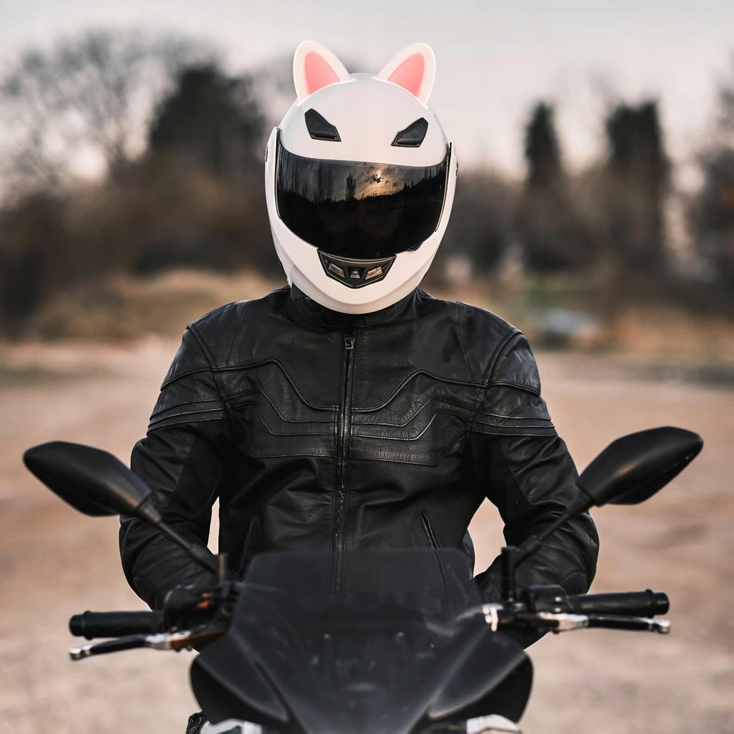 CAT EARS FOR MOTORCYCLE HELMET SET OF 6 DECORATIVE PIECES Manufacturer Amio