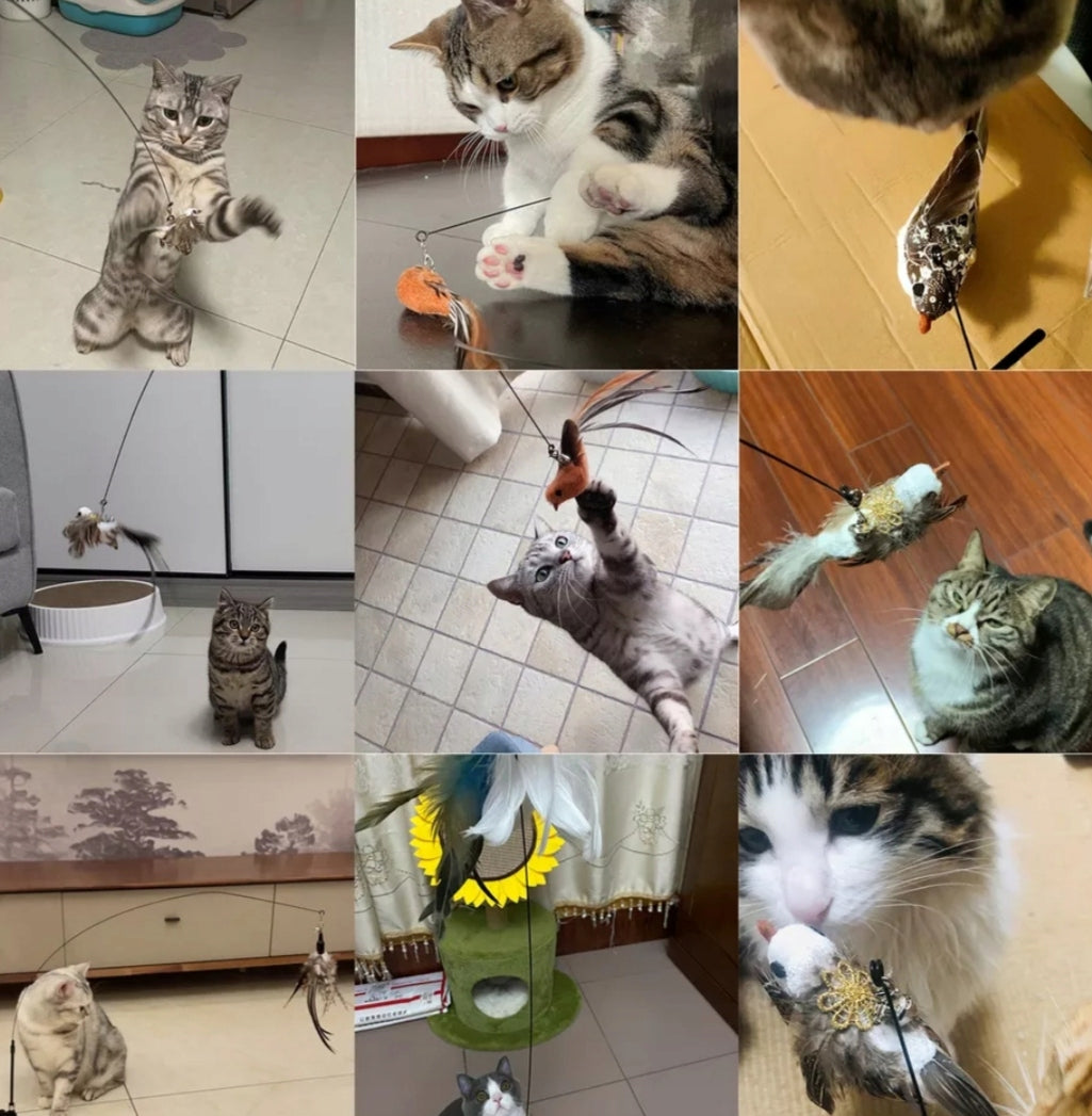 CAT FISHING ROD Suction Cup with LEVER Toy Brand no brand
