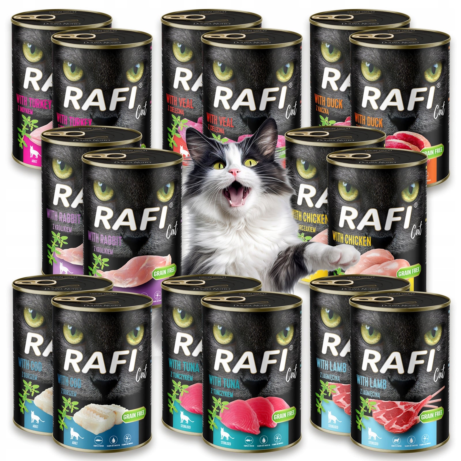 CAT FOOD WET CAN VALLEY NOTECI RAFI CAT FOOD MIX OF FLAVORS 16 x 400g