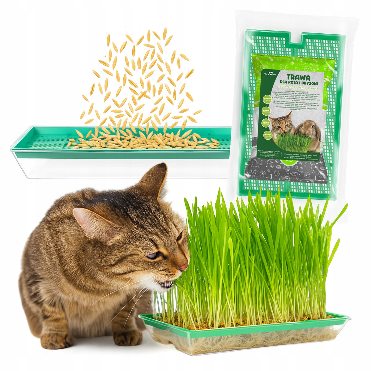 CAT GRASS SET SEEDS SPROUTER FOR GROWING CAT DELICACY