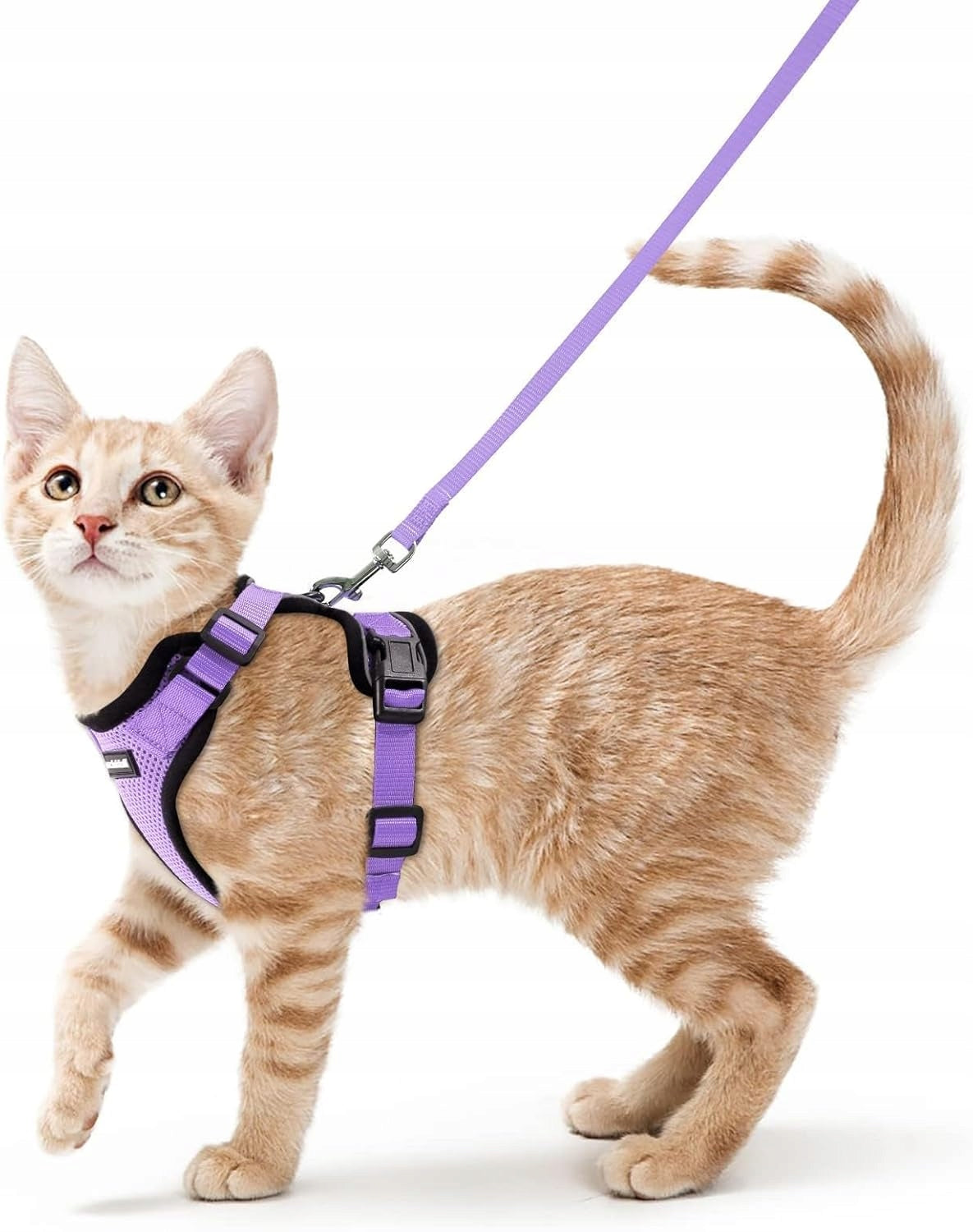 CAT HARNESS ADJUSTABLE WITH LEASH S REFLECTIVE LIGHT PURPLE