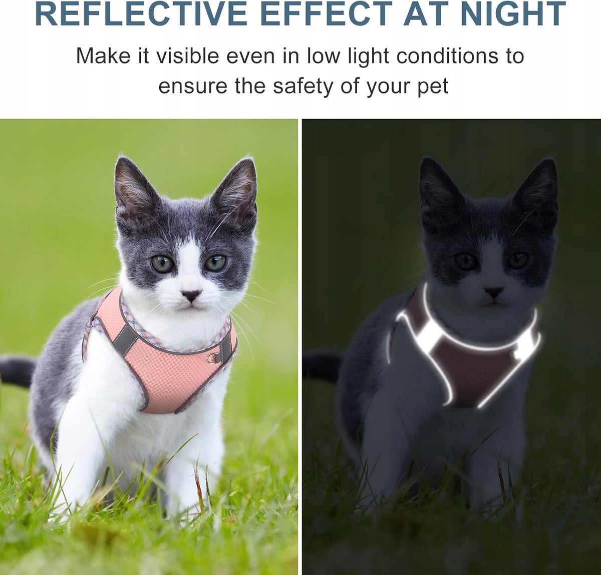 CAT HARNESS WITH LEASH BREATHABLE BOTTOM FOR CRACKING Manufacturer code UPRZĄŻ KOTA SMYCZ ODDYCHAJĄCA ODDORNA PĘ
