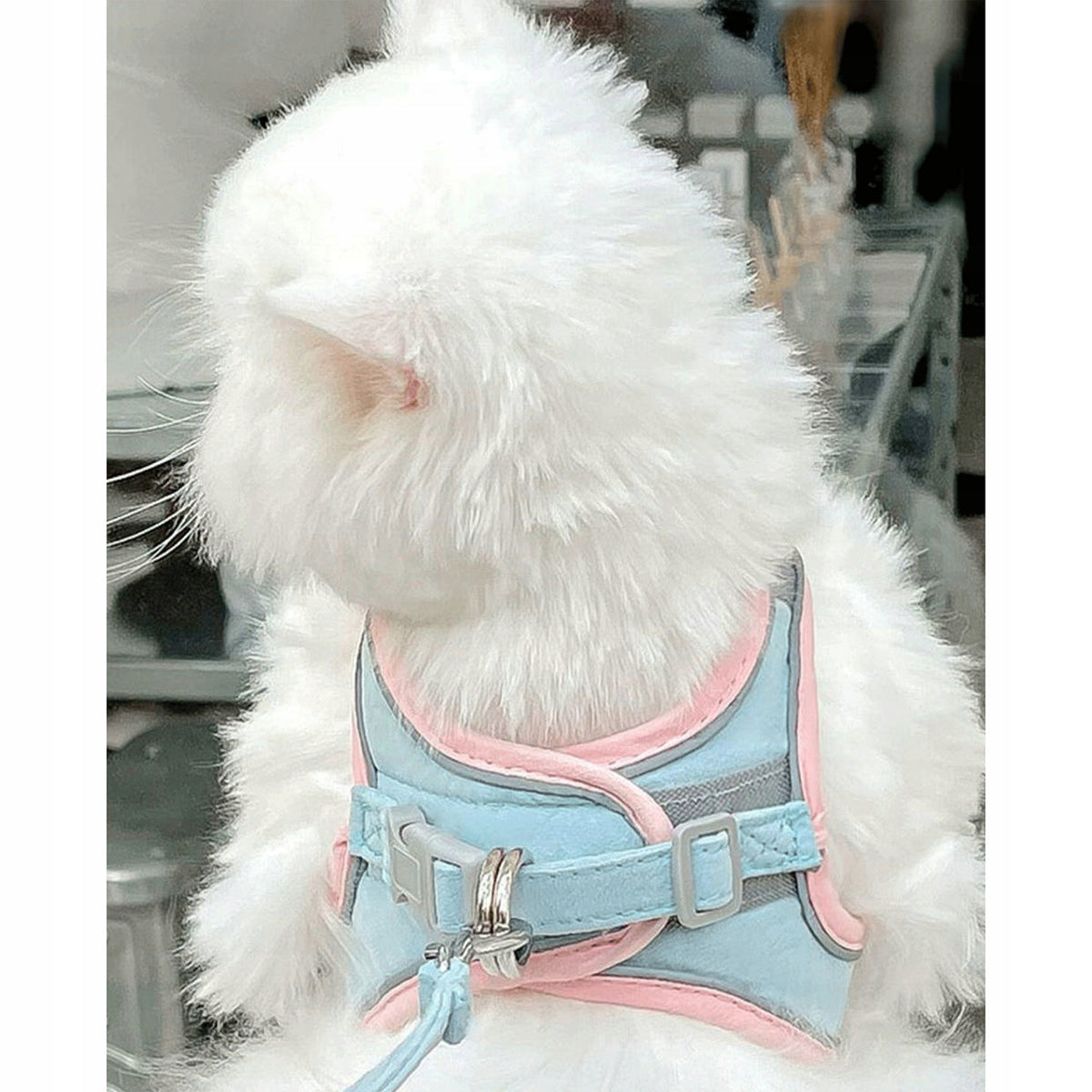 CAT LANYARD & HARNESS Pressure-Free Walking Reflective Adjustable M Brand no brand