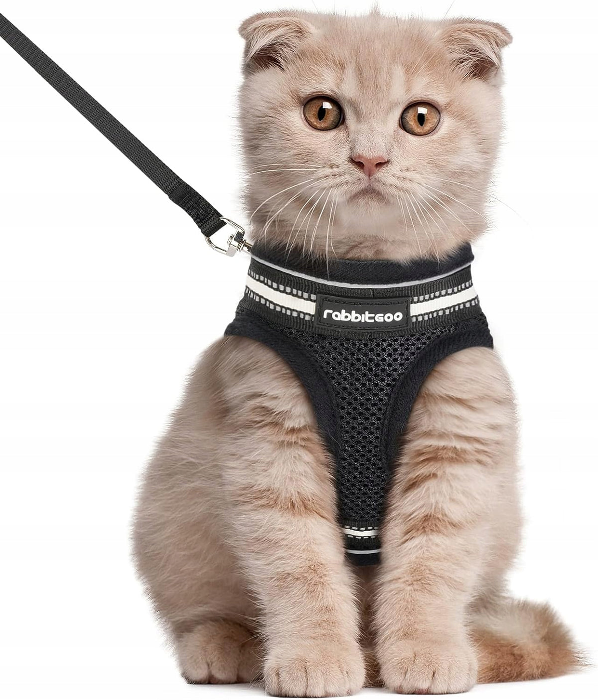 CAT LEASH CAT HARNESS WALKING HARNESS COLLAR AKCESORIA FOR CAT