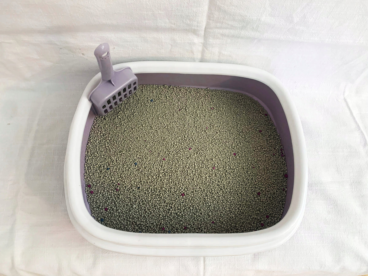 CAT LITTER BENTONITE LAVENDER 25L CLUMPING NATURAL CONCRETEITE Packaging status original