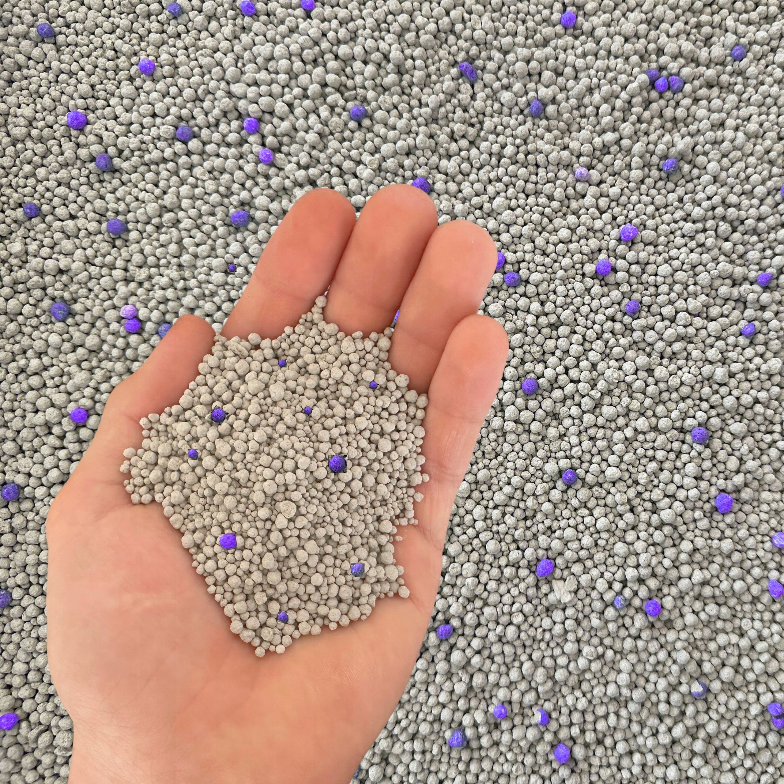 CAT LITTER BENTONITE LAVENDER CLUMPING DUST-FREE ZOONEST 25L Packaging status original