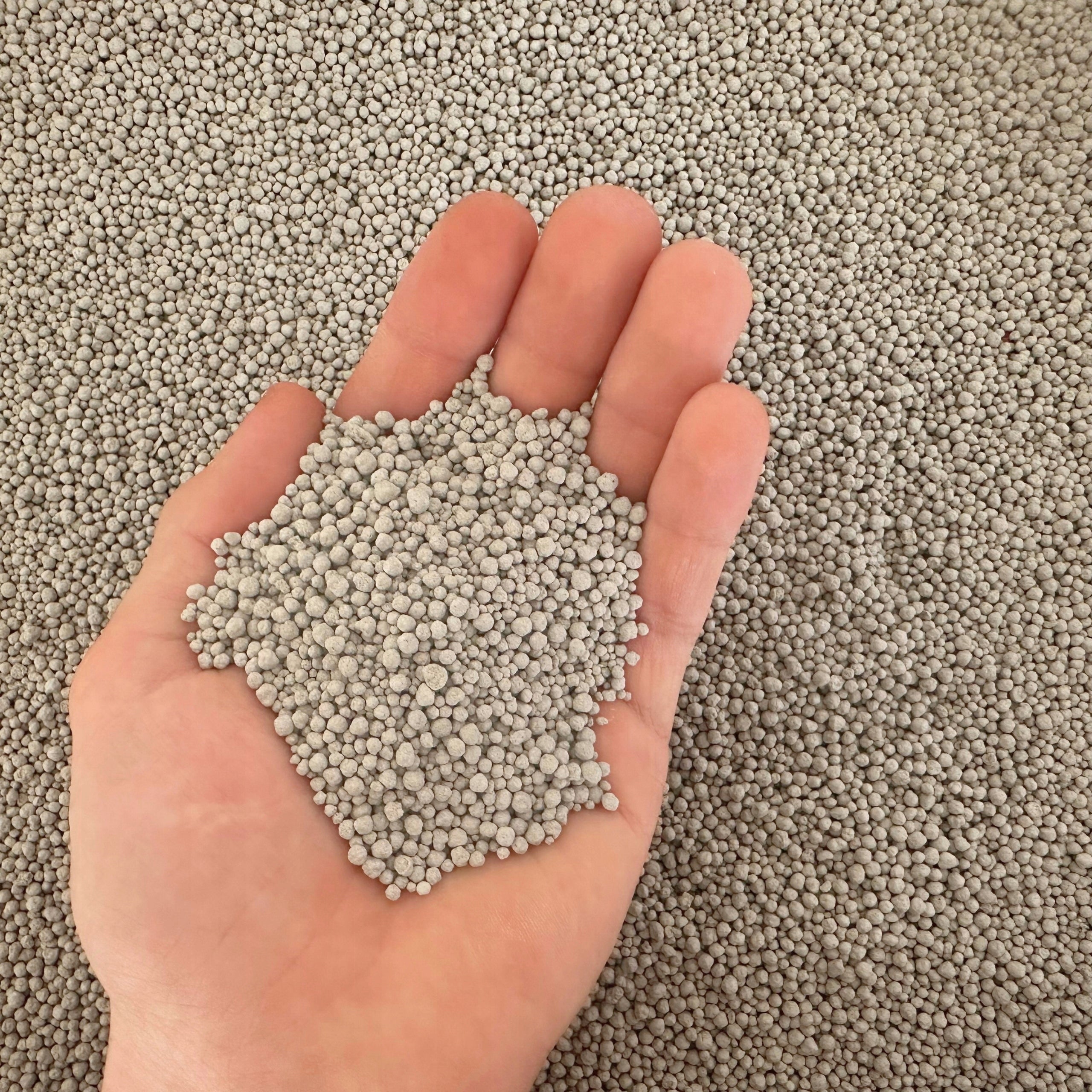 CAT LITTER BENTONITE UNSCENTED CLUMPING DUST-FREE ZOONEST 25L Packaging status original