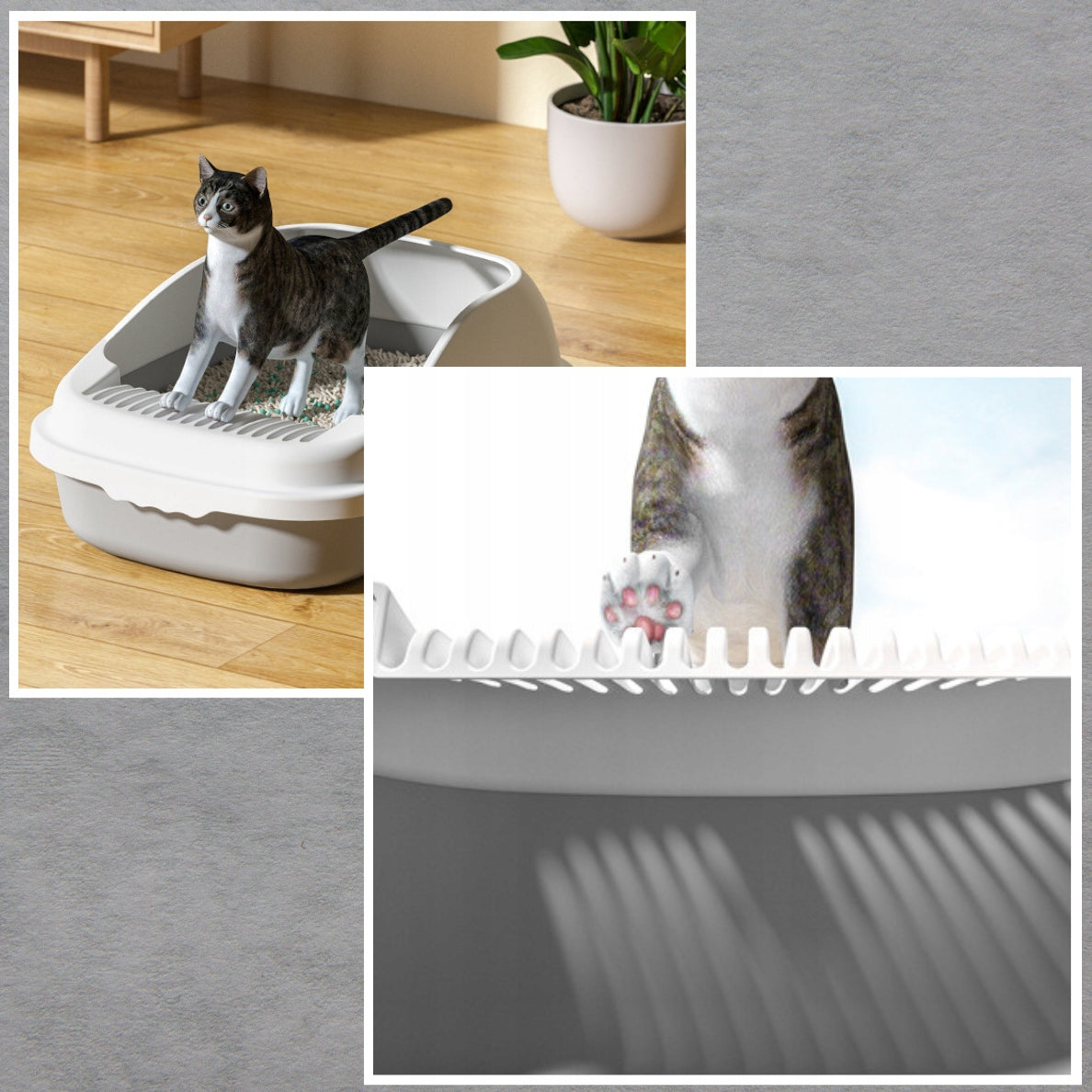 CAT LITTER BOX OPEN TO LITTER LARGE TOILET DURABLE STURDY + SPATULA Color multicolor