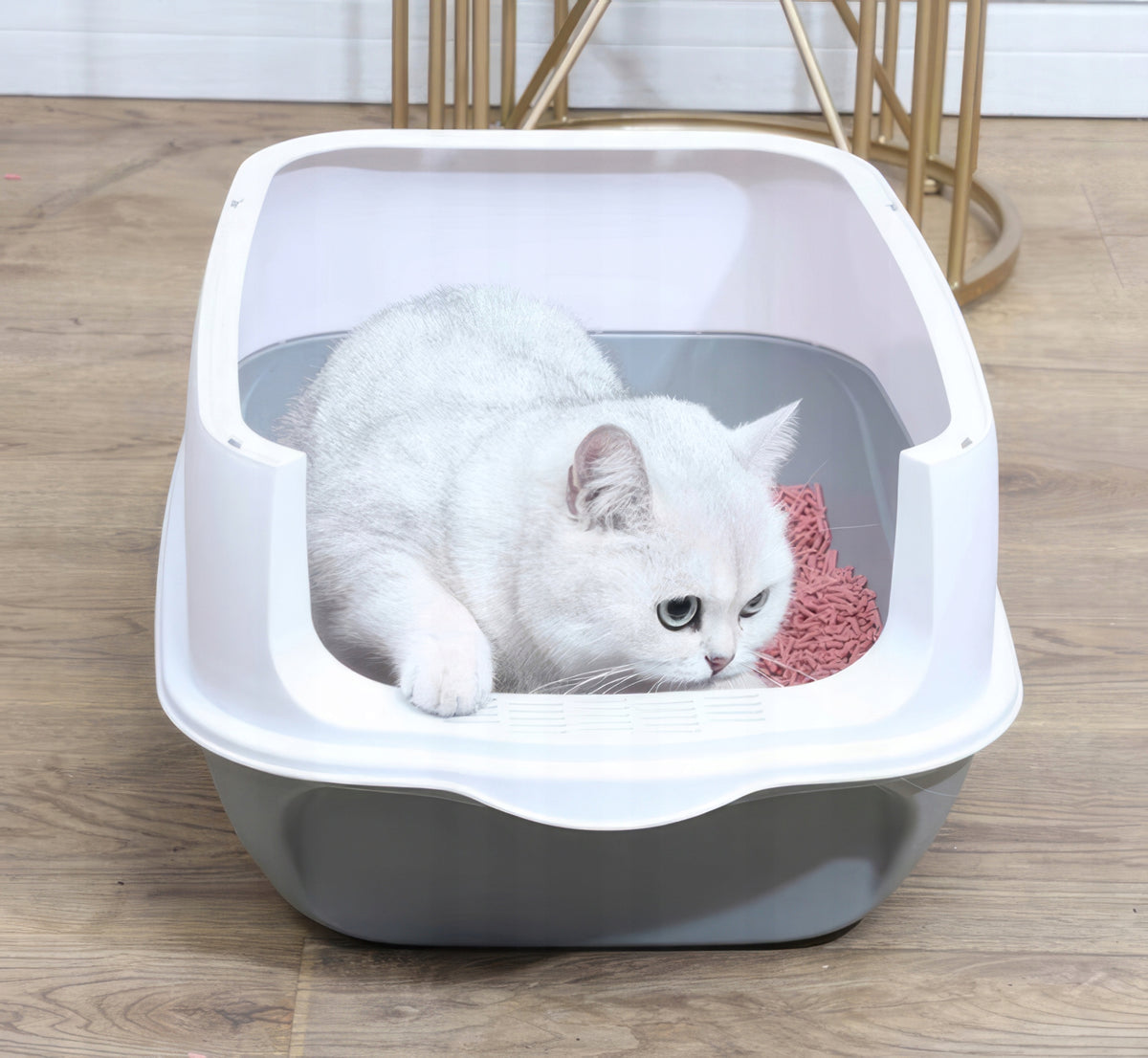 CAT LITTER BOX WITH ABSORBER CLOSED WITH SPATULA AND FILTER LARGE FOR LITTER EAN (GTIN) 78903710317752