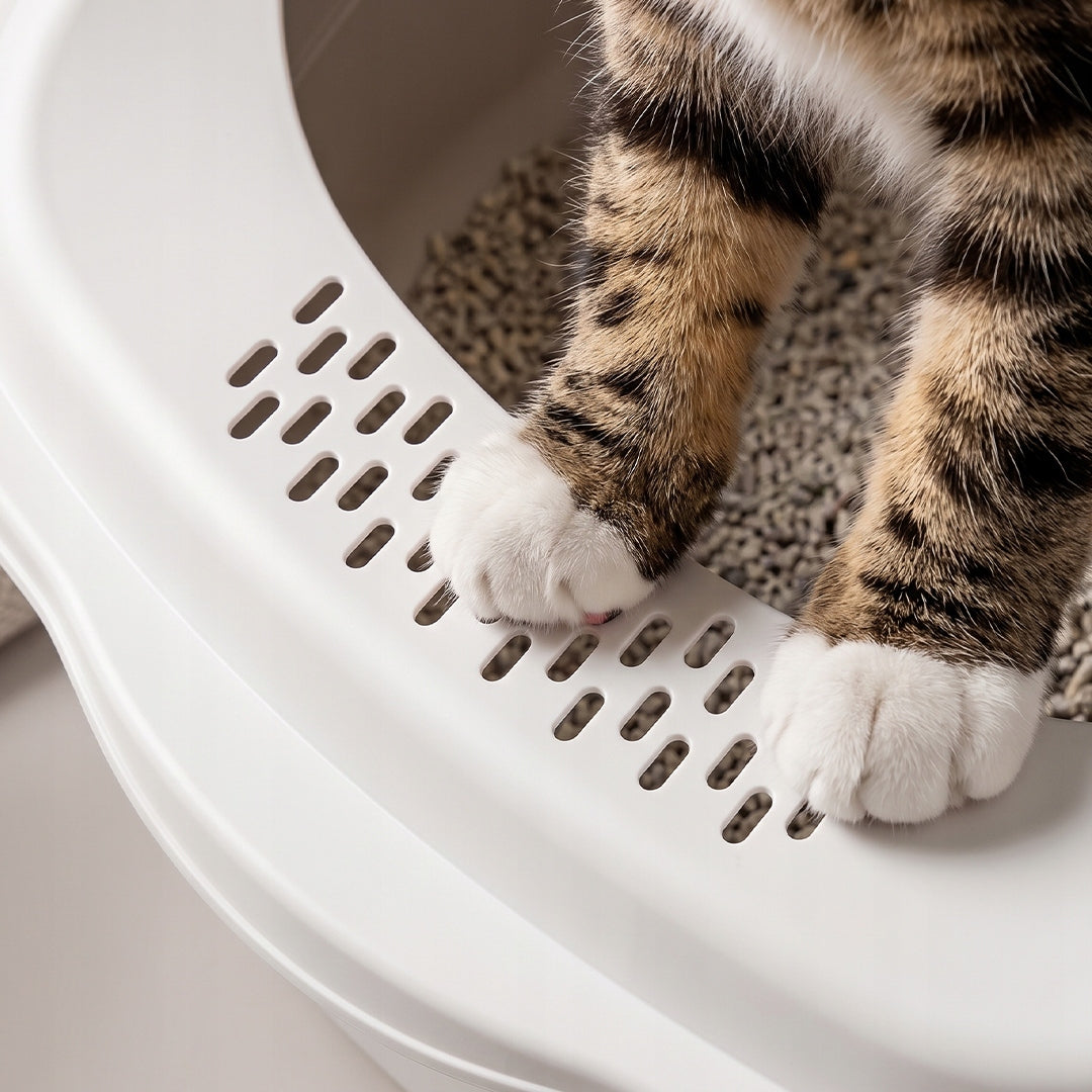 CAT LITTER BOX WITH FILTER EARS CLOSED LARGE LITTER SPATULA COVERED TOILET Brand DAZAPETS
