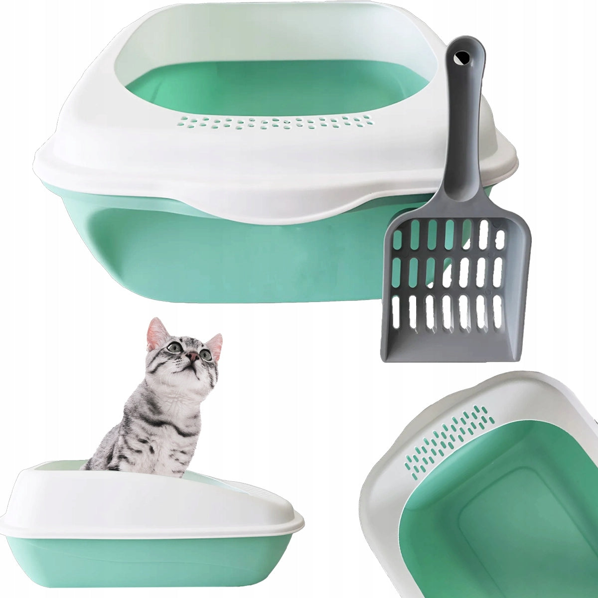 CAT LITTER BOX with FRAME and SPATULA 50 cm GREEN Solid OVAL