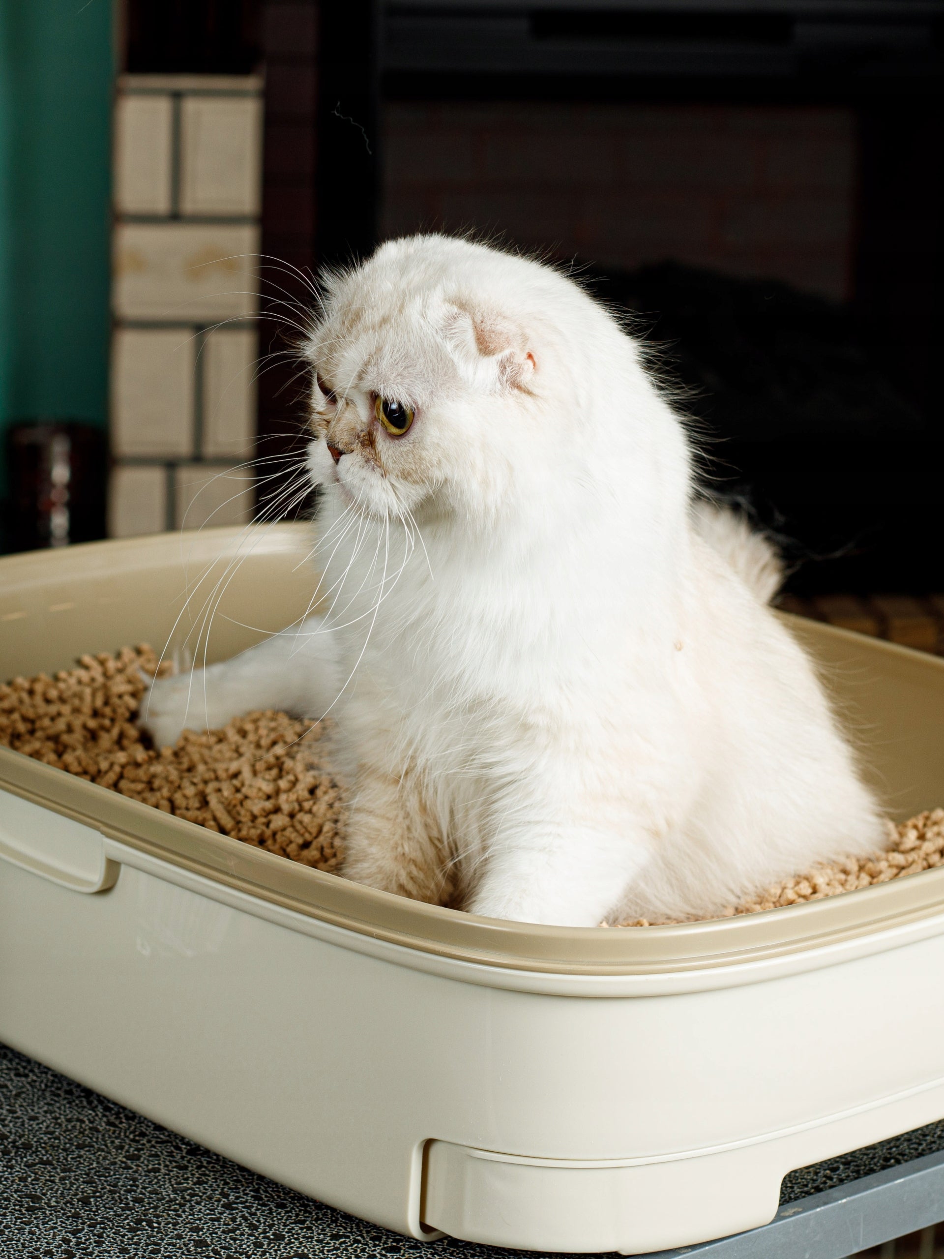 CAT LITTER NATURAL CLUMPING CYPRESS 7L ANTIBACTERIAL DUST-FREE Manufacturer code 829700
