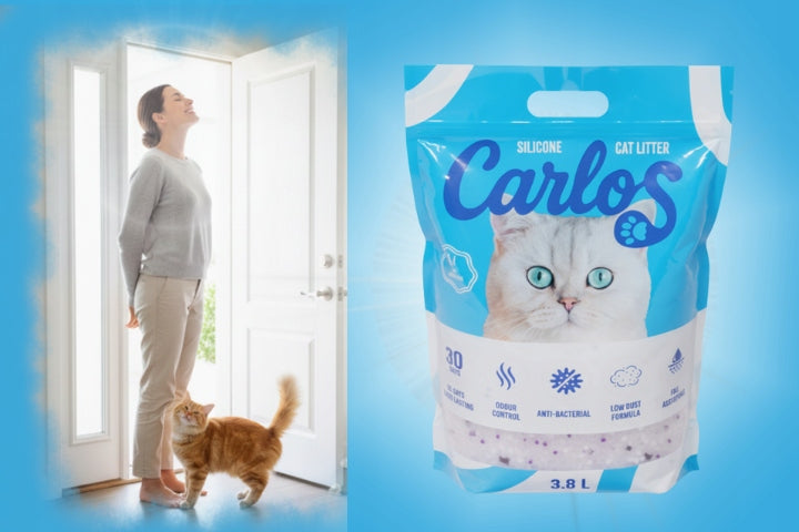 CAT LITTER SILICONE CARLOS NON-CAKING DUST-FREE ODORLESS 3,8L Manufacturer code 5905842537286
