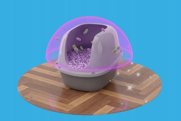 CAT LITTER SILICONE CARLOS NON-CAKING DUST-FREE ODORLESS 3,8L Volume 3.8 l