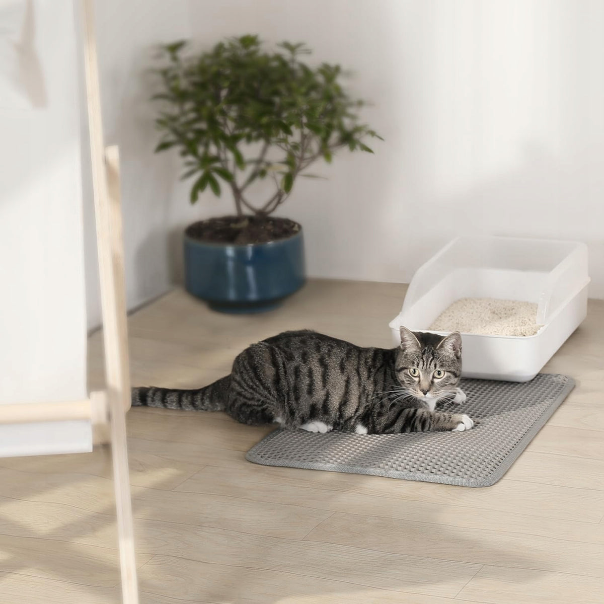CAT MAT 58X42 CM DOUBLE LAYER LITTER BOX WATERPROOF GREY NON-SLIP Packaging status original