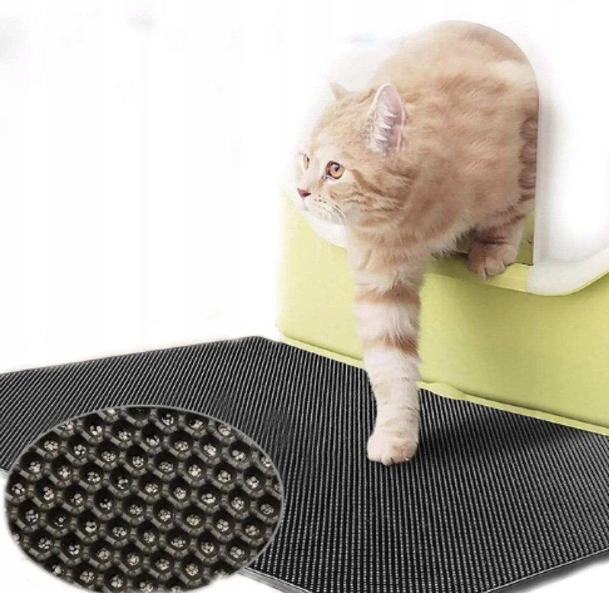CAT MAT IN FRONT OF LITTER BOX LITTER WIPER CAT Brand Gockowiak