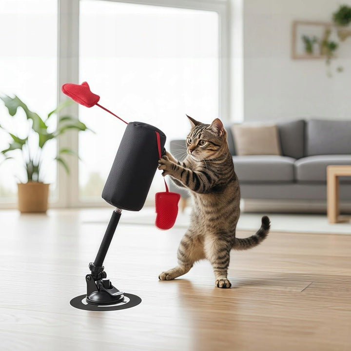 CAT PLAY SET PUNCHING BAG PORTABLE WITH GLOVES Manufacturer code 6942488047372